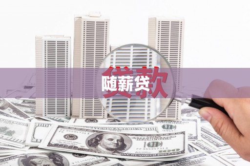 泸县随薪贷