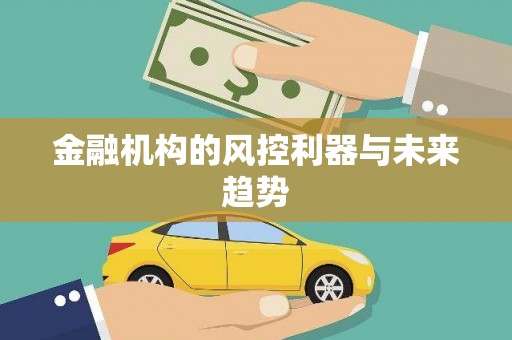 泸县金融机构的风控利器与未来趋势
