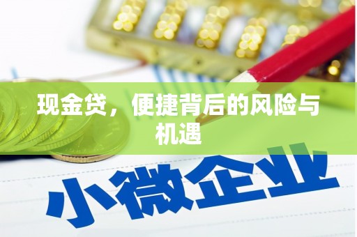 泸县现金贷，便捷背后的风险与机遇