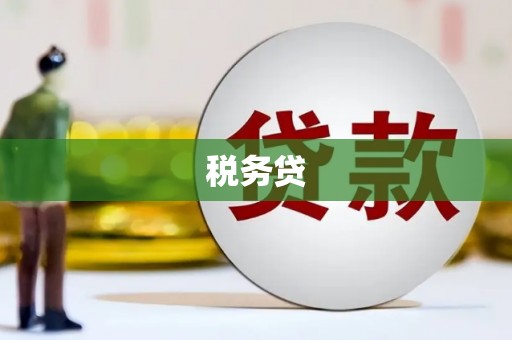 泸县税务贷