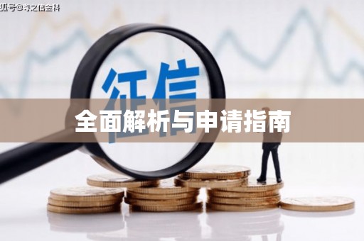 泸县全面解析与申请指南