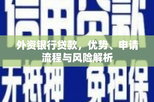泸县外资银行贷款，优势、申请流程与风险解析
