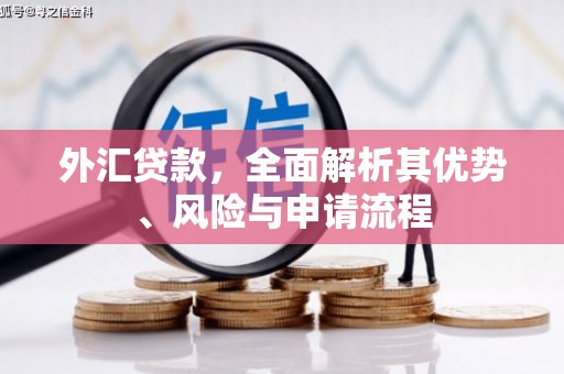 泸县外汇贷款，全面解析其优势、风险与申请流程