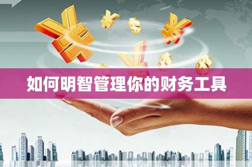 泸县如何明智管理你的财务工具