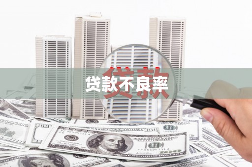 泸县贷款不良率