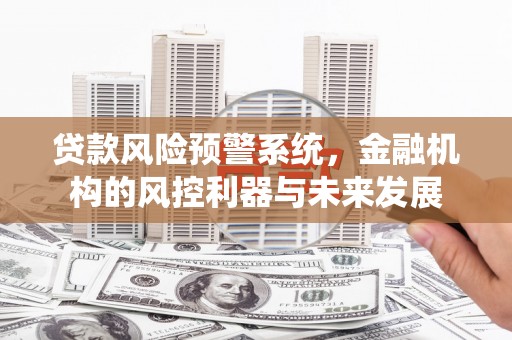 泸县贷款风险预警系统，金融机构的风控利器与未来发展