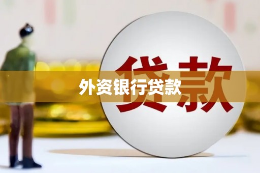 泸县外资银行贷款