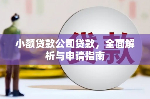 泸县小额贷款公司贷款，全面解析与申请指南