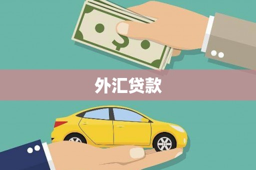 泸县外汇贷款