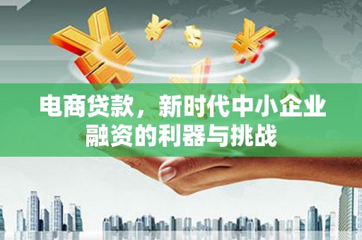 泸县电商贷款，新时代中小企业融资的利器与挑战