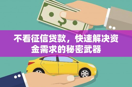 泸县不看征信贷款，快速解决资金需求的秘密武器