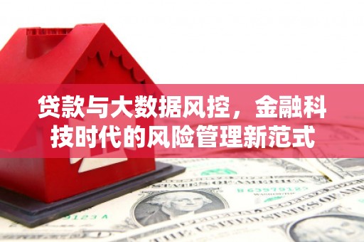 泸县贷款与大数据风控，金融科技时代的风险管理新范式