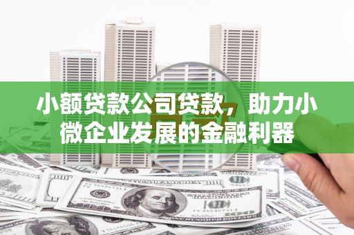 泸县小额贷款公司贷款，助力小微企业发展的金融利器