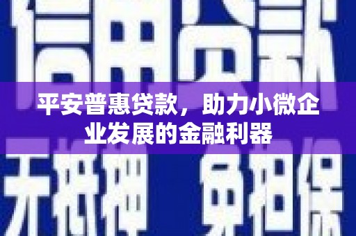 泸县平安普惠贷款，助力小微企业发展的金融利器
