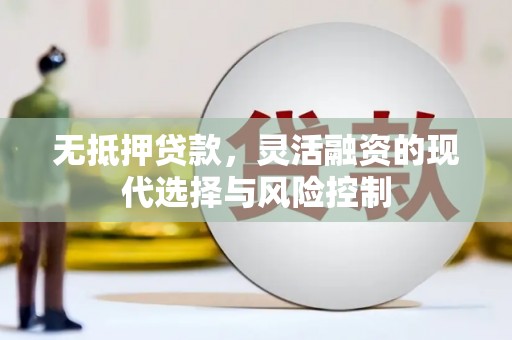 泸县无抵押贷款，灵活融资的现代选择与风险控制