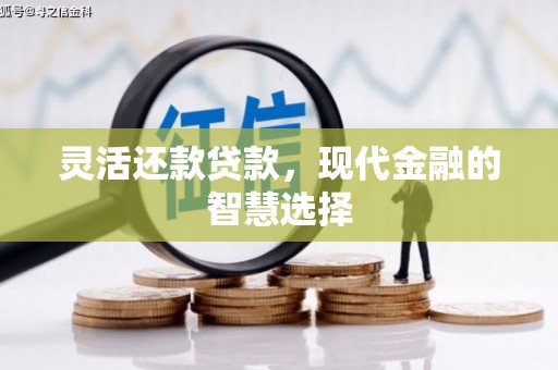 泸县灵活还款贷款，现代金融的智慧选择