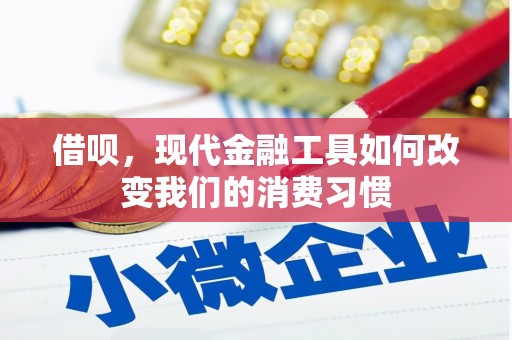 泸县借呗，现代金融工具如何改变我们的消费习惯