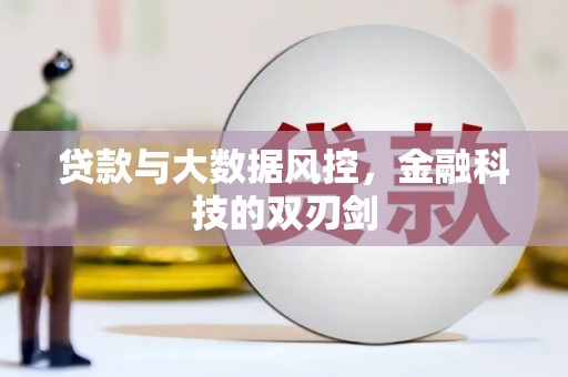 泸县贷款与大数据风控，金融科技的双刃剑