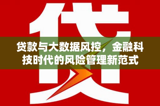 泸县贷款与大数据风控，金融科技时代的风险管理新范式