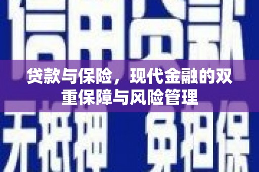 泸县贷款与保险，现代金融的双重保障与风险管理