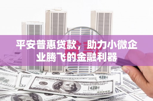 泸县平安普惠贷款，助力小微企业腾飞的金融利器
