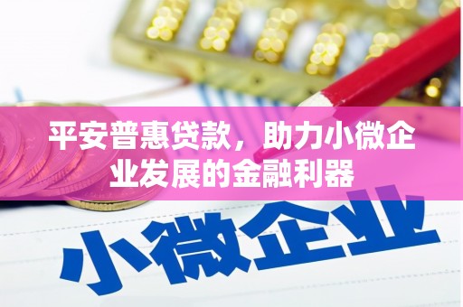 泸县平安普惠贷款，助力小微企业发展的金融利器