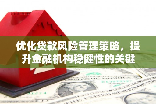 泸县优化贷款风险管理策略，提升金融机构稳健性的关键