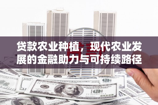 泸县贷款农业种植，现代农业发展的金融助力与可持续路径