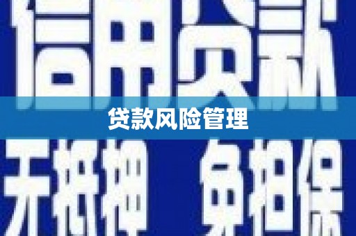 泸县贷款风险管理