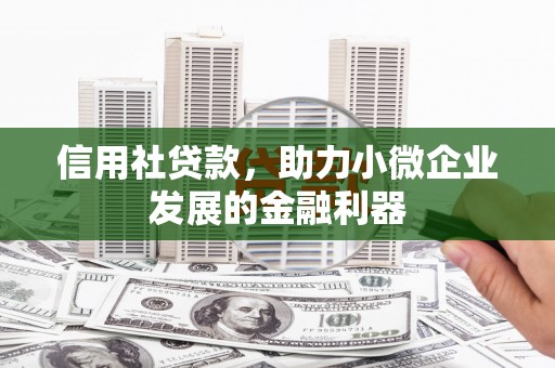 泸县信用社贷款，助力小微企业发展的金融利器
