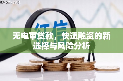 泸县无电审贷款，快速融资的新选择与风险分析