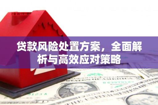 泸县贷款风险处置方案，全面解析与高效应对策略