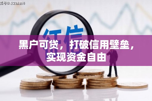 泸县黑户可贷，打破信用壁垒，实现资金自由