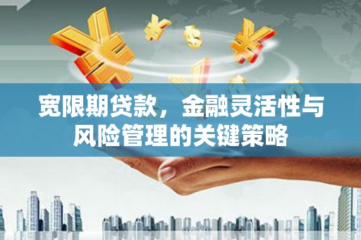 泸县宽限期贷款，金融灵活性与风险管理的关键策略