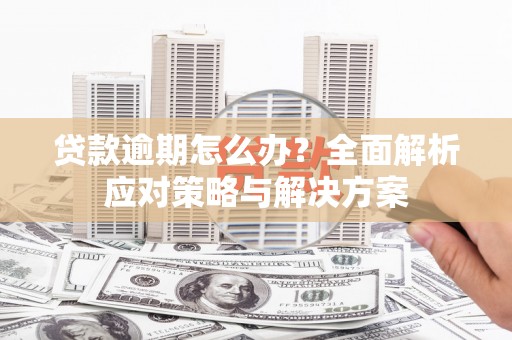 泸县贷款逾期怎么办？全面解析应对策略与解决方案