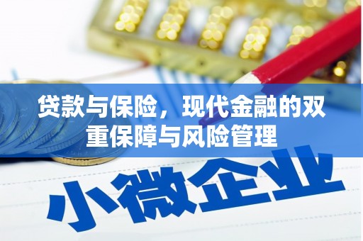 泸县贷款与保险，现代金融的双重保障与风险管理