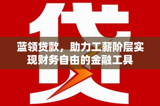 泸县蓝领贷款，助力工薪阶层实现财务自由的金融工具