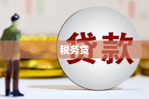 泸县税务贷