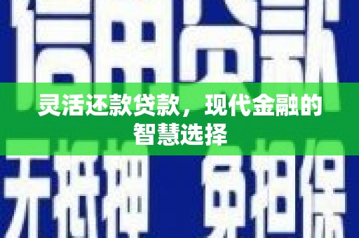 泸县灵活还款贷款，现代金融的智慧选择