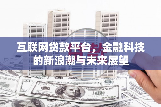泸县互联网贷款平台，金融科技的新浪潮与未来展望