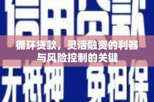 泸县循环贷款，灵活融资的利器与风险控制的关键