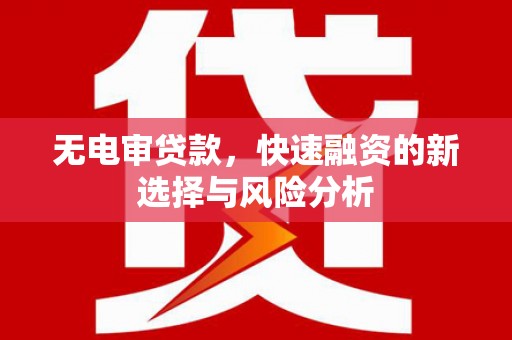 泸县无电审贷款，快速融资的新选择与风险分析
