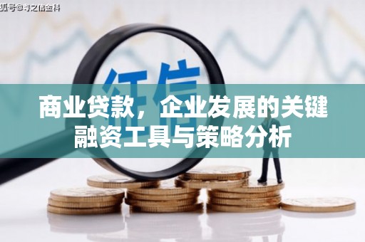 泸县商业贷款，企业发展的关键融资工具与策略分析