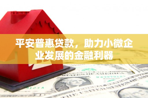 泸县平安普惠贷款，助力小微企业发展的金融利器