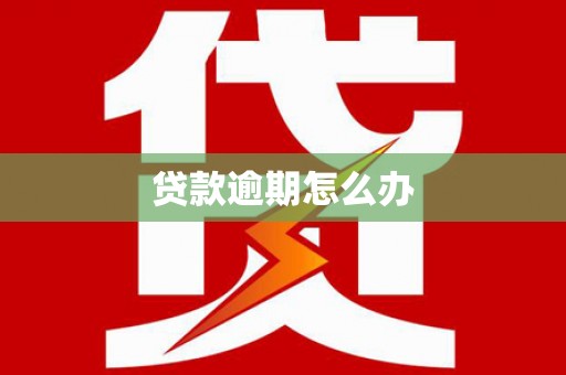 泸县贷款逾期怎么办