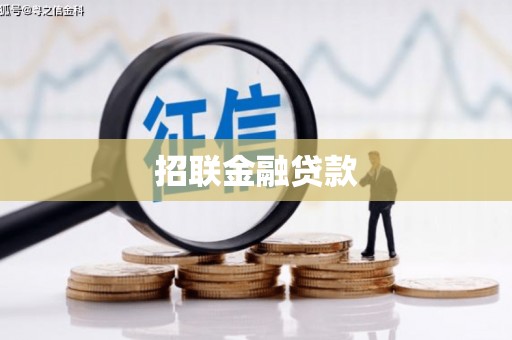 泸县招联金融贷款