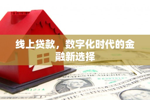 泸县线上贷款，数字化时代的金融新选择