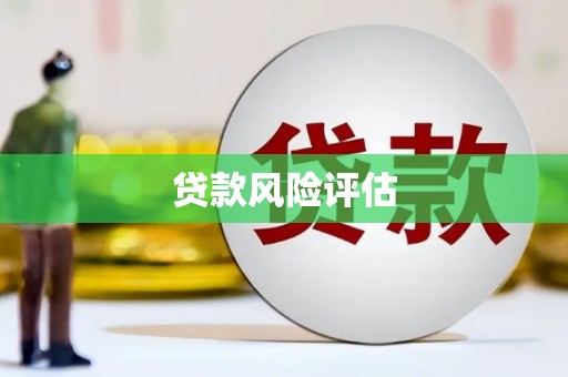 泸县贷款风险评估