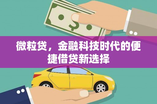 泸县微粒贷，金融科技时代的便捷借贷新选择
