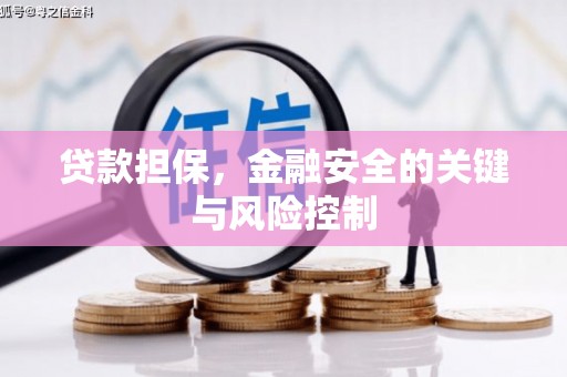 泸县贷款担保，金融安全的关键与风险控制